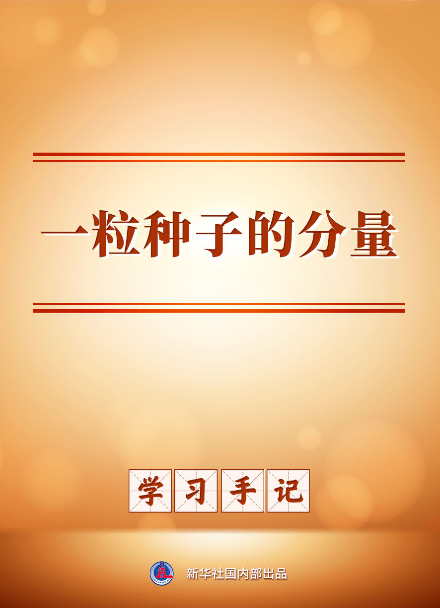 学习手记|一粒种子的分量 学习手记|一粒种子的分量