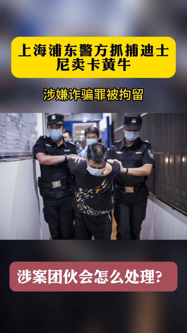 上海迪士尼抓获几十名黄牛