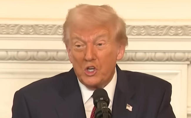 特朗普称民主党是神风敢死队