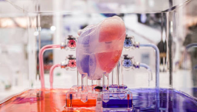 核心医疗产品商业化难题待解