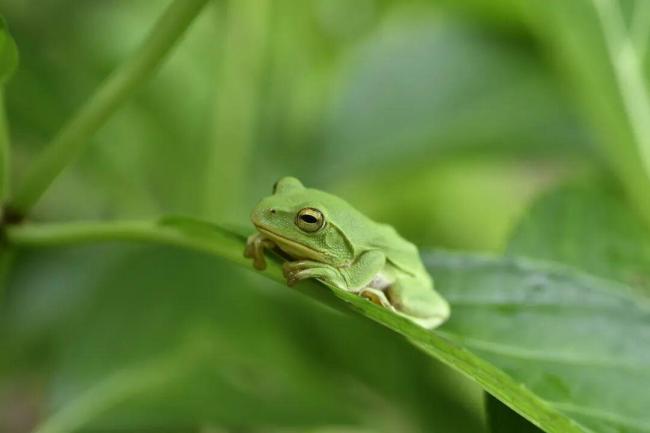 8ֻܣ㽭Ů£Ϊһ仰ͳˣҽǸƫΣ