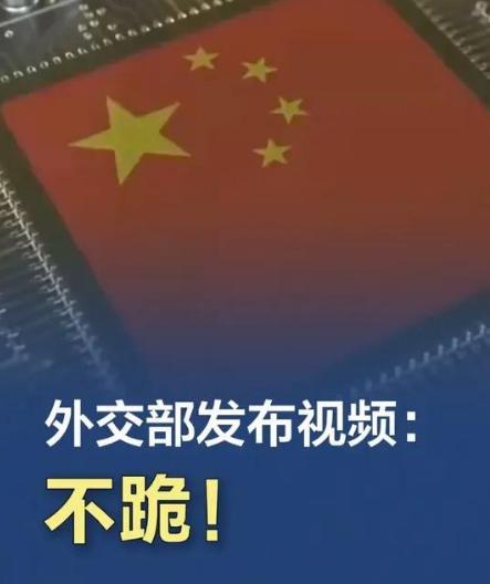 外交部发布双语硬核：《不跪！》