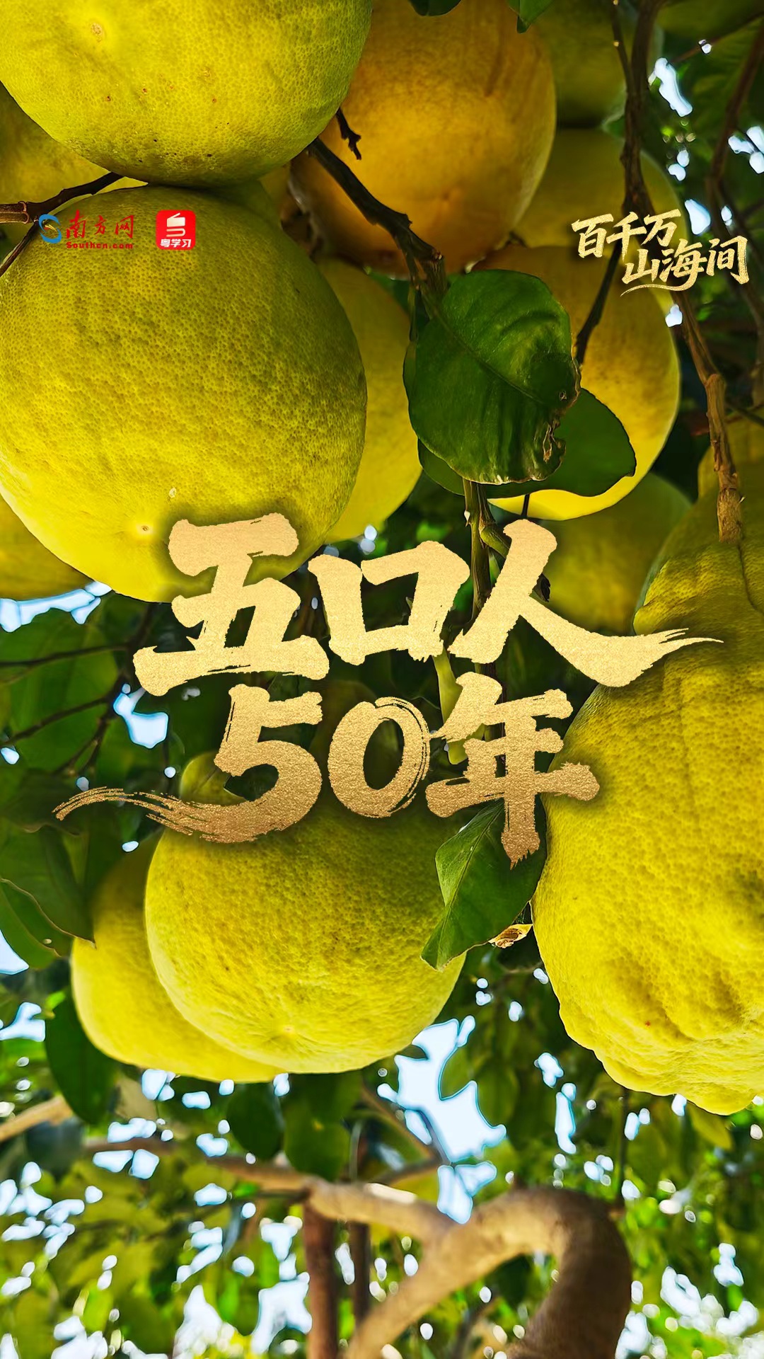 百千万·山海间｜五口人，50年