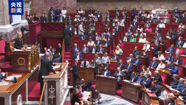 法国政府未通过信任投票 总理贝鲁被迫辞职