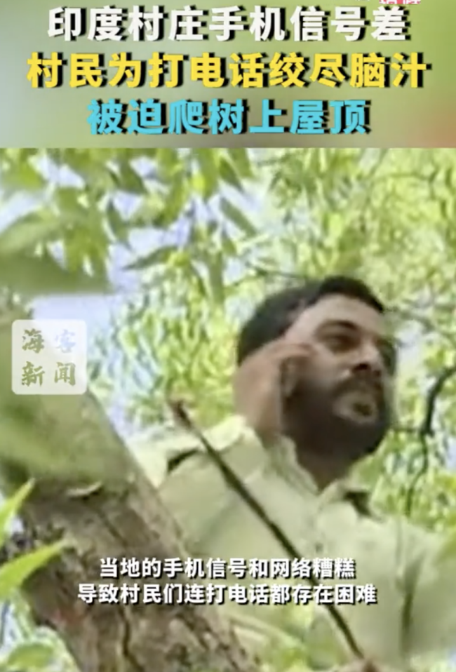 印度村民为打电话被迫爬树上屋顶