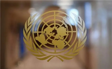 在也门被扣押的12名联合国外籍雇员离开萨那