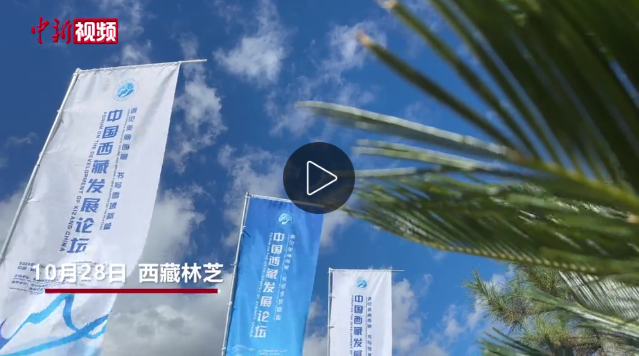 外籍嘉宾点赞西藏林芝生态 期待更深入了解多元西藏 外籍嘉宾点赞西藏林芝生态 期待更深入了解多元西藏