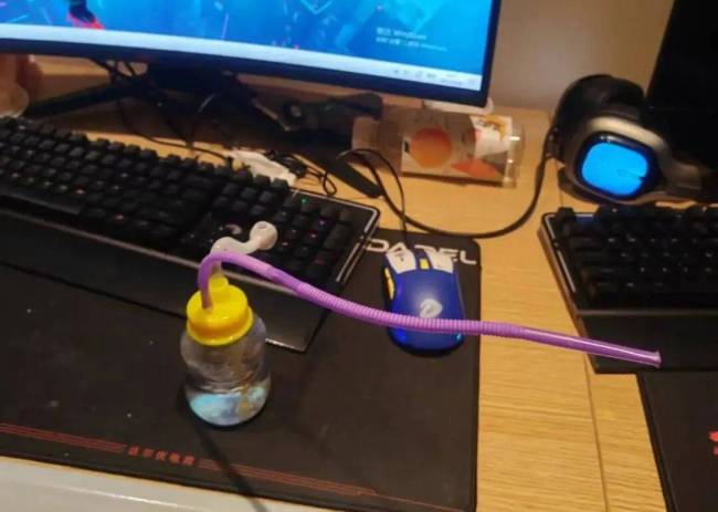 葫芦岛一日抓获12名涉毒人员