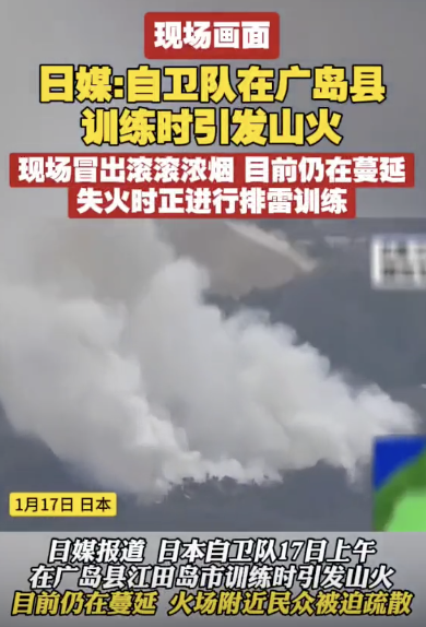 现场航拍：日本东北部连发山火浓烟滚滚 消防直升机洒水救火 数百居民被迫避难