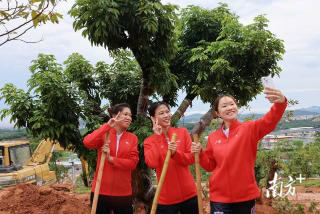 广东女队队员郑嘉怡(左)、叶琦(中)、陈淑娜(右)在荔枝树前合影。 广东女队队员郑嘉怡(左)、叶琦(中)、陈淑娜(右)在荔枝树前合影。