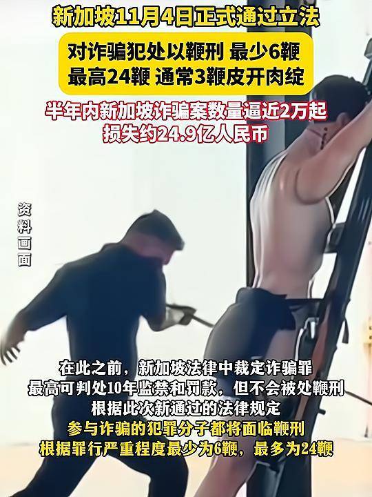 新加坡对诈骗犯实施鞭刑 最多24鞭