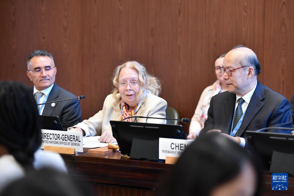 “人工智能 团结共治”高级别对话会在日内瓦举行