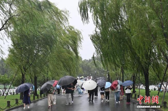 “竹节草”致浙江多地雨量破纪录