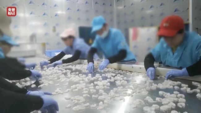 查封!关停!各地多部门连夜查处3·15曝光问题