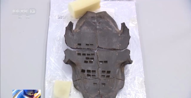 考古新发现！出土实物带你解密这位楚王的日常