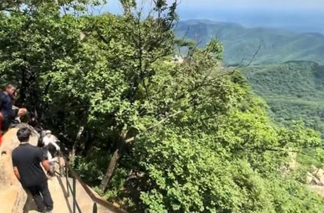 小伙爬山抬头瞬间救了个孩子