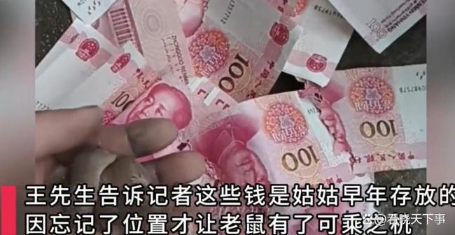 村民辛苦积攒5000元被老鼠啃毁，钱箱还有幼鼠崽
