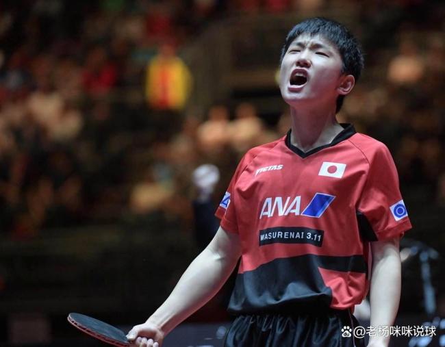 张本智和又输了