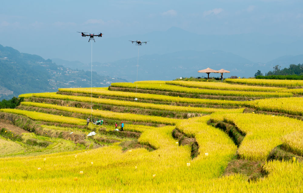 新华鲜报·“十四五”亮点|年收入约18万亿元！乡村产业绘新貌