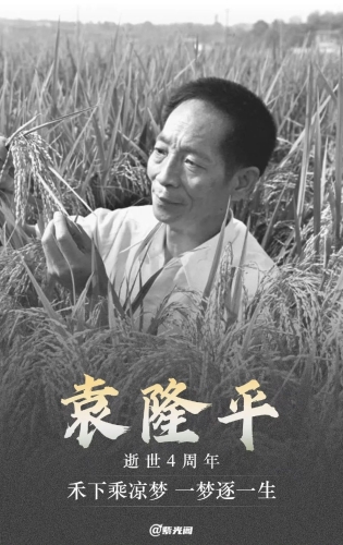 1 1