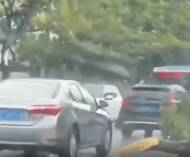 全国多地遭极端天气侵袭：厦门台风吹船断树