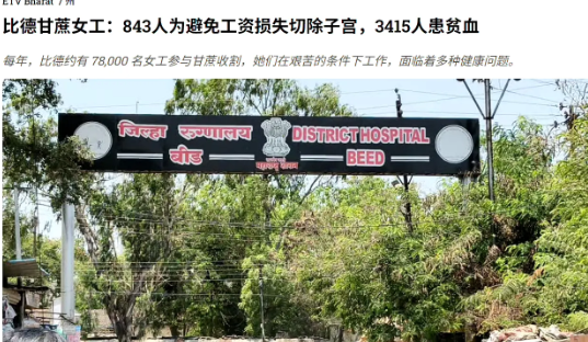 印度甘蔗女工为工作切子宫