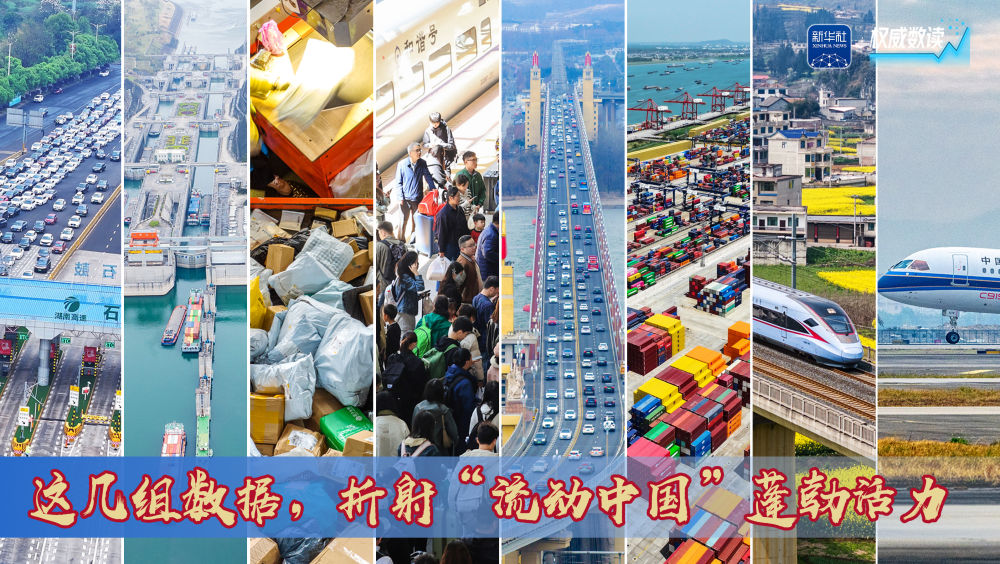 权威数读｜这几组数据，折射“流动中国”蓬勃活力
