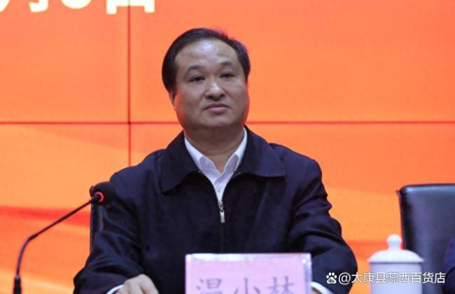 中央巡视期间 温小林落马