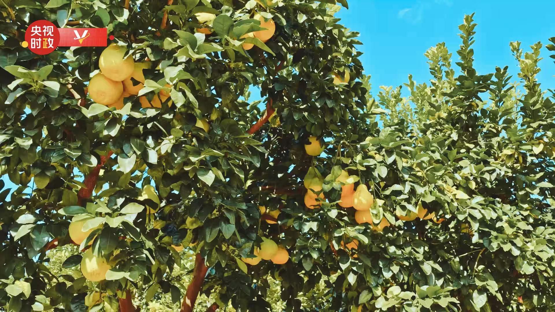 ϰƽ㶫ح˴塰֡ҵ߽ϸֲ