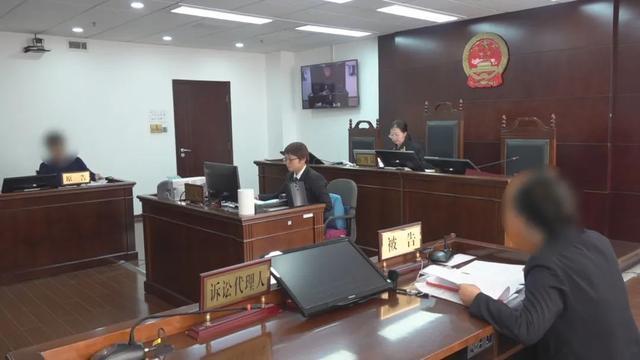 北京流浪猫狗车库“大战”，重伤汽车，车主只能认倒霉？法院判了 物业被判赔偿