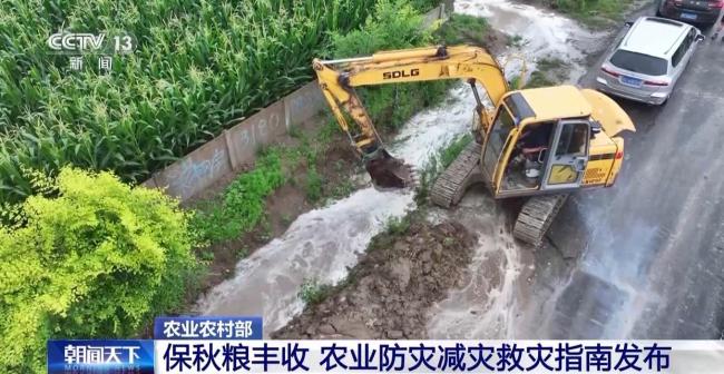 农业防灾减灾救灾指南发布 多措并举保秋粮丰收