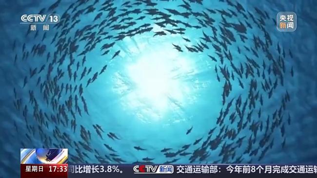 我国海底“油气动脉”超一万公里