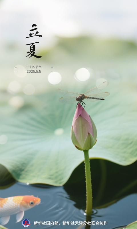 节令之美丨5日13时57分立夏:春尽杂英歇,夏初芳草深