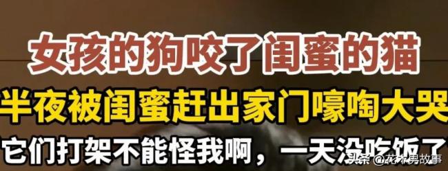 女孩因猫狗大战深夜被赶出家门