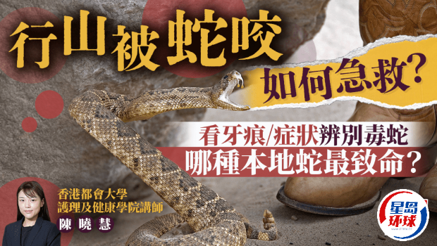 蛇 蛇