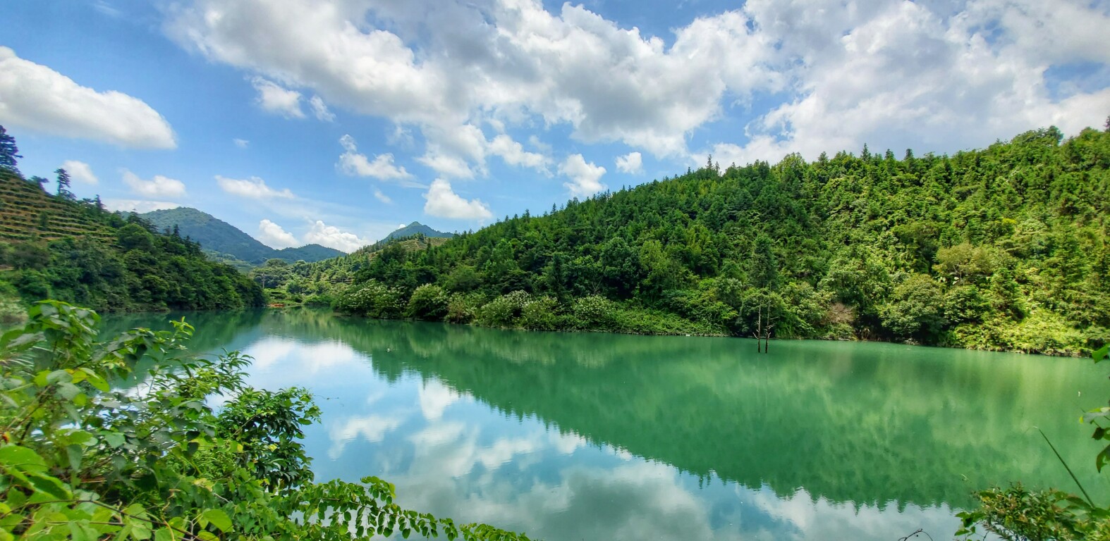 广东潮安凤凰山省级自然保护区（通讯员供图）