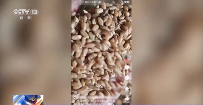 新型“购粮洗钱”骗局曝光 警方提醒