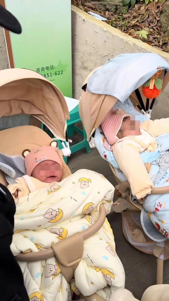 外国夫妻出游将双胞胎婴儿托付保安