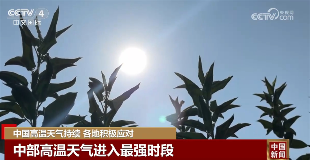 爱心驿站、人防纳凉中心、喷洒作业……各地积极“战”高温保民生