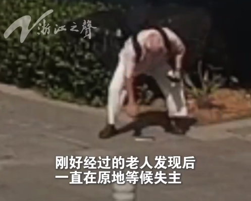 浙江80岁老兵捡手机原地等失主：我当过兵的 