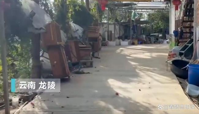 央视曝光6666元包教包会养伤人蜂