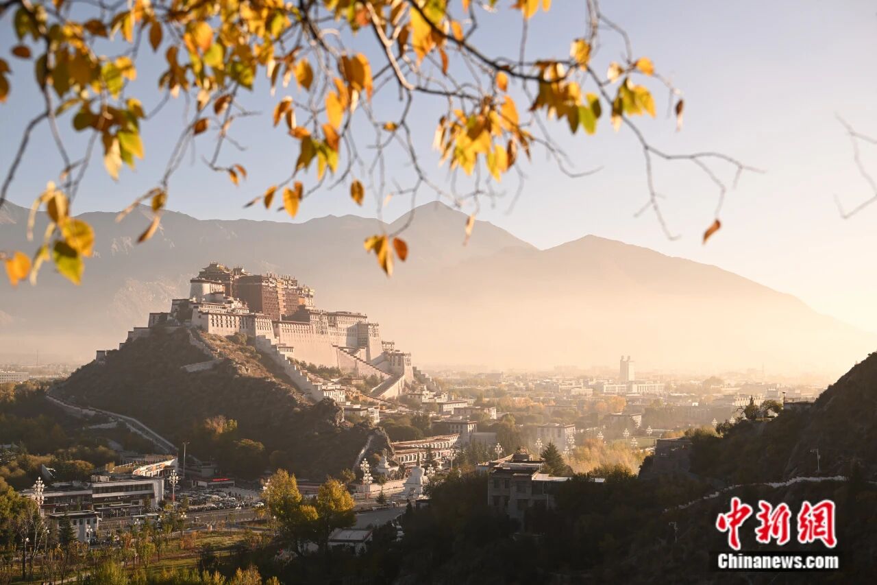 东西问｜杨娜：科技让西藏布达拉宫在开放与保护中平衡
