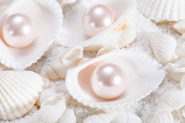 核电站竟然还有产珍珠的副业