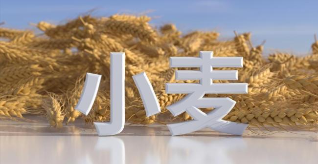 油价调整 就在今晚