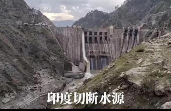 印度切断巴方水源将造成何种后果