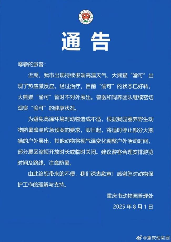 重庆动物园回应大熊猫渝可未展出