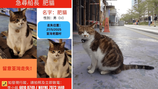 北角码头船公司称得悉下落