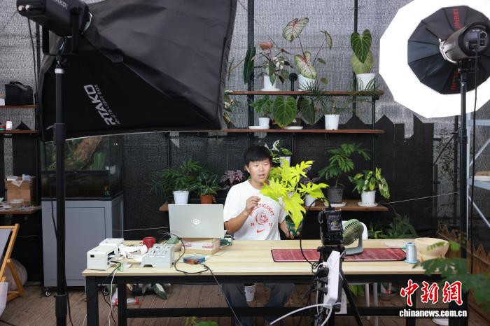 绿植成年轻人“新潮玩” 生活美学改写产业生态