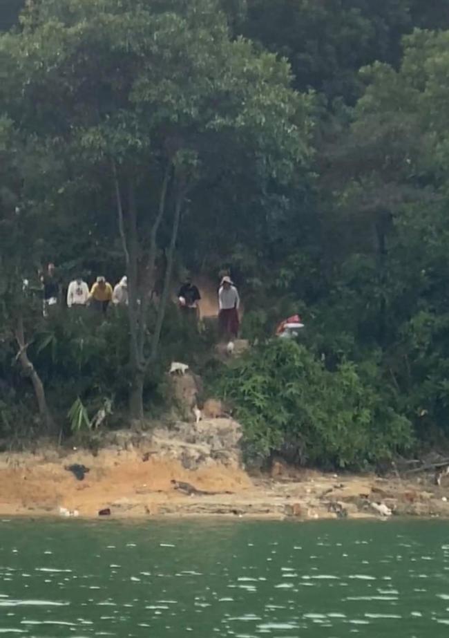 博主谈水库放生猫：须追问到底是谁