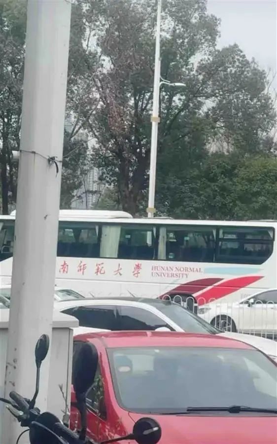 高校回应校车将女老师辗轧身亡